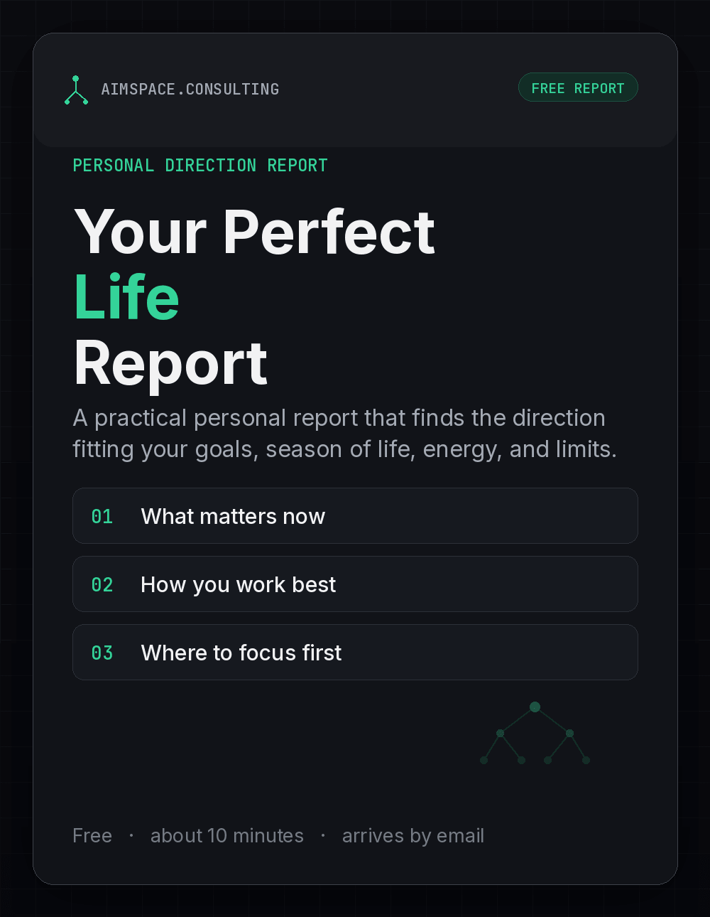 Your Perfect Life Report preview